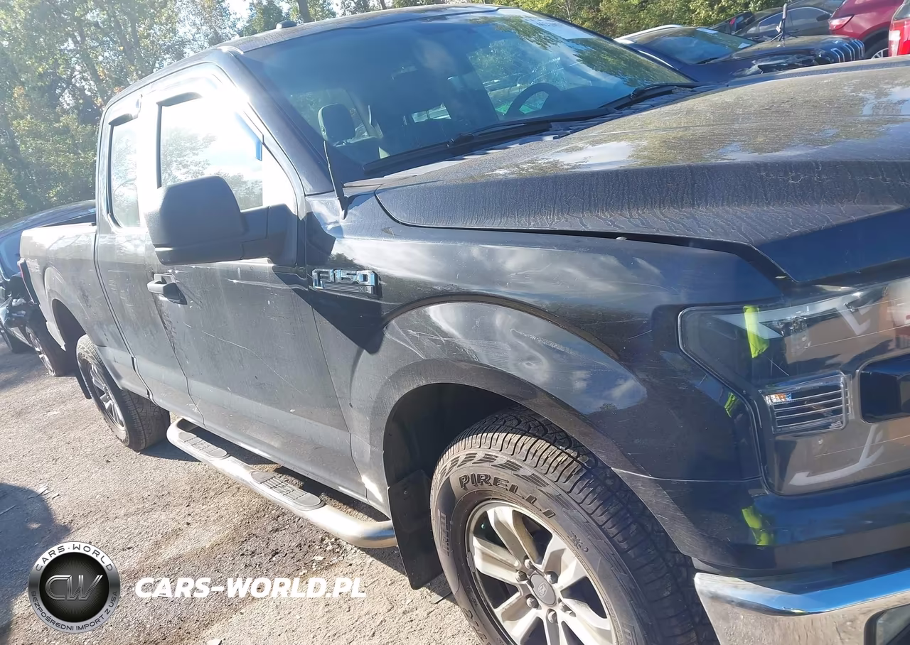 2016 Ford F-150 Xl VIN:1FTEX1E80GFD37345 - 13