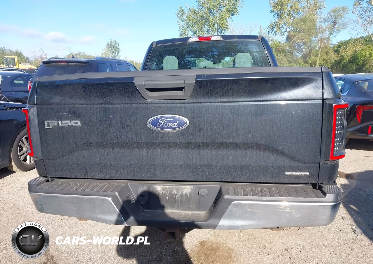 2016 Ford F-150 Xl VIN:1FTEX1E80GFD37345 - 16