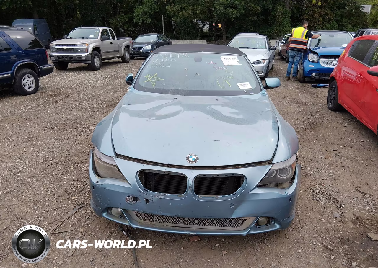 2007 BMW 650I VIN:WBAEK13507CN80689 - 11