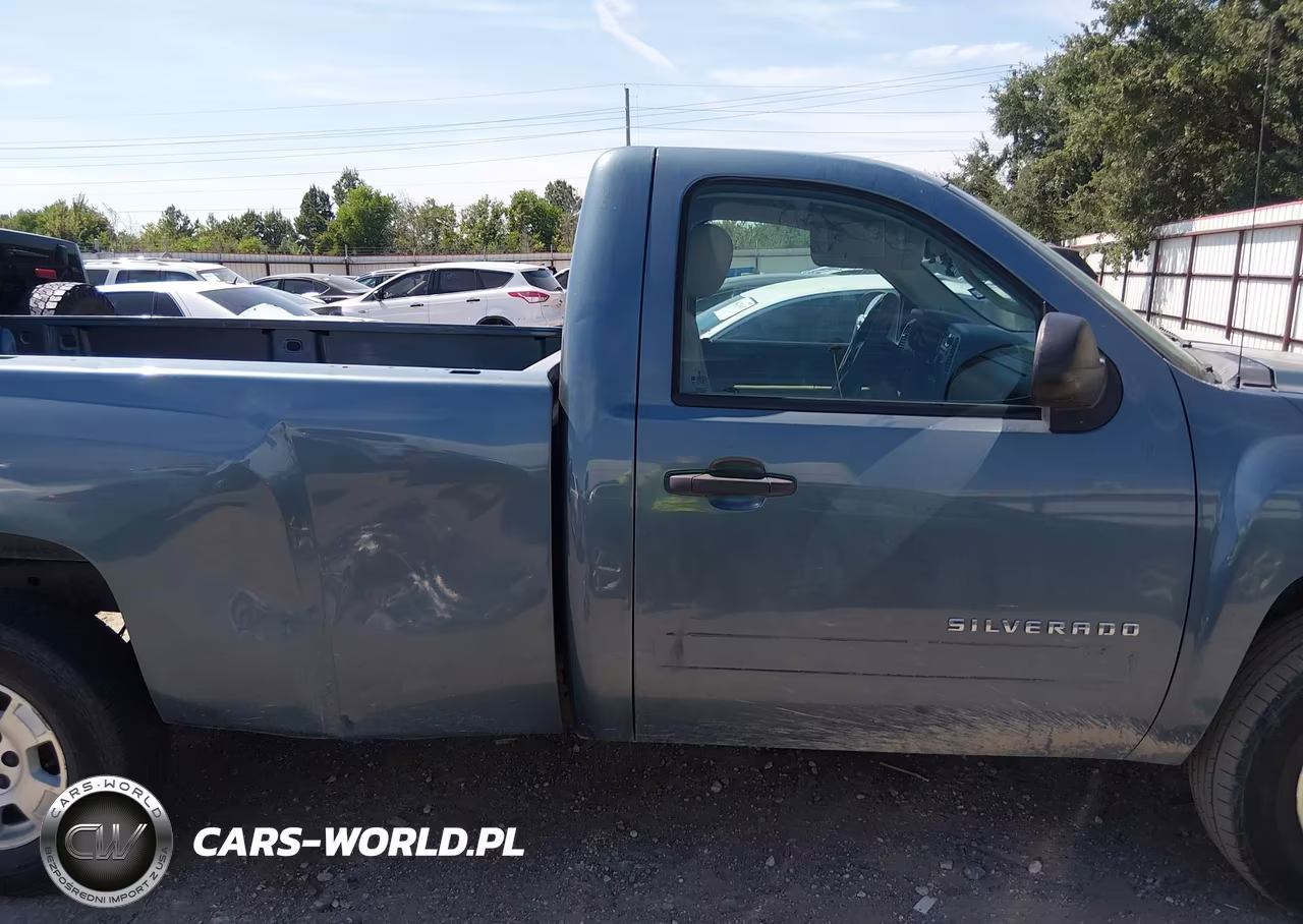 2010 Chevrolet Silverado 1500 Lt VIN:1GCPKSE09AZ187717 - 13