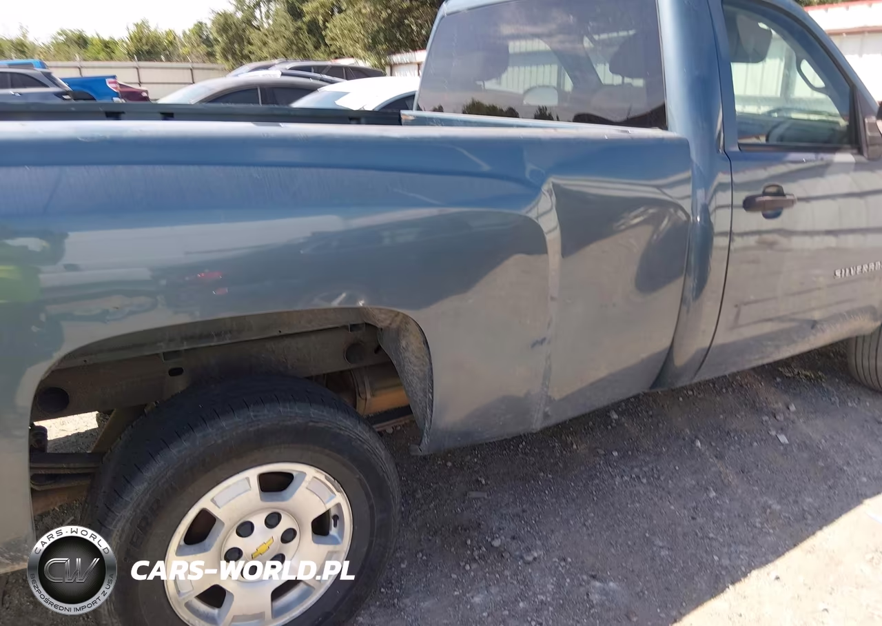 2010 Chevrolet Silverado 1500 Lt VIN:1GCPKSE09AZ187717 - 17