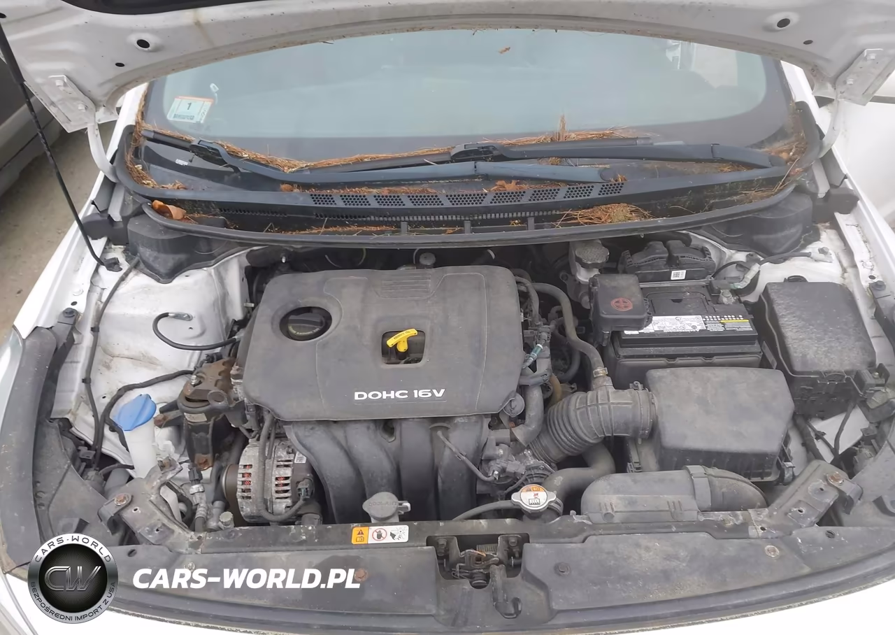 2018 Kia Forte Lx VIN:3KPFL4A75JE200658 - 10