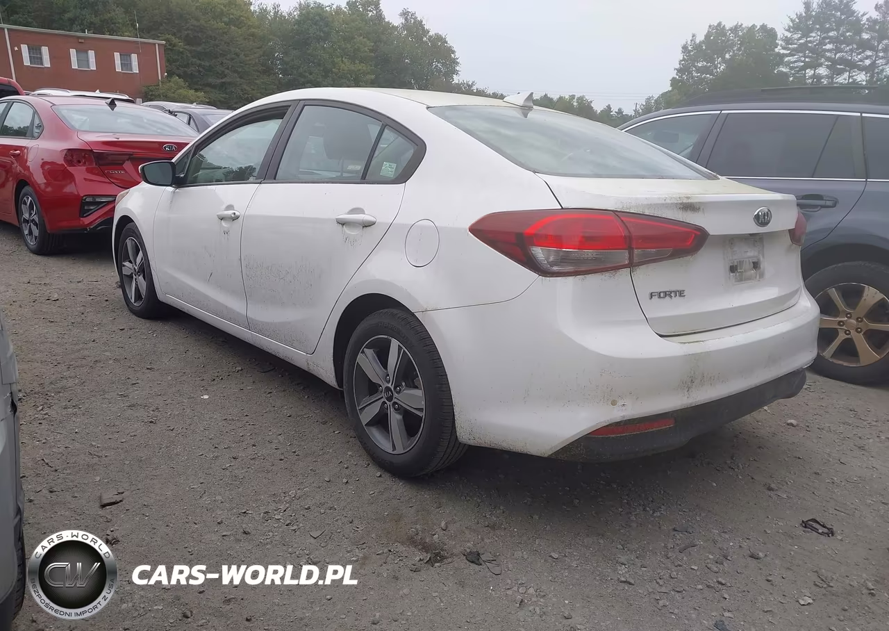 2018 Kia Forte Lx VIN:3KPFL4A75JE200658 - 3
