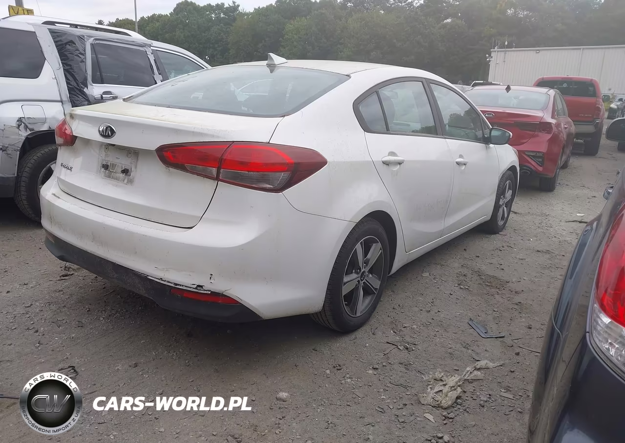 2018 Kia Forte Lx VIN:3KPFL4A75JE200658 - 4