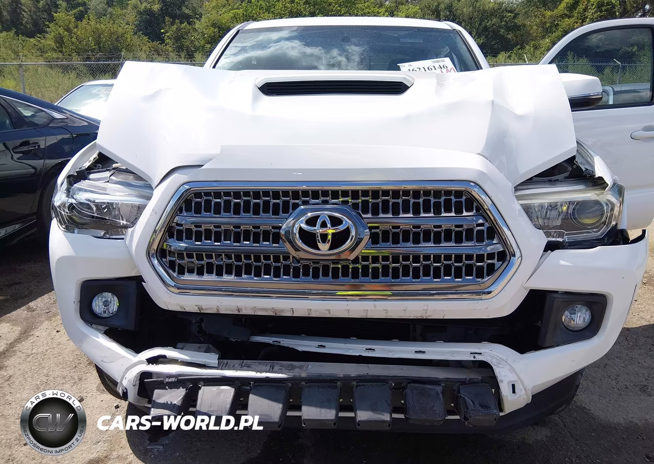 2017 Toyota Tacoma Trd Sport VIN:5TFAZ5CN1HX039486 - 10