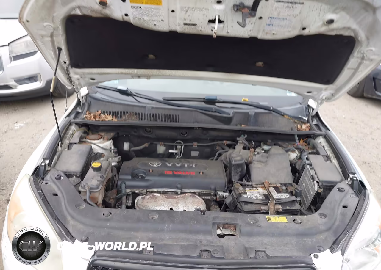 2006 Toyota Rav4 VIN:JTMBD33V366016351 - 10