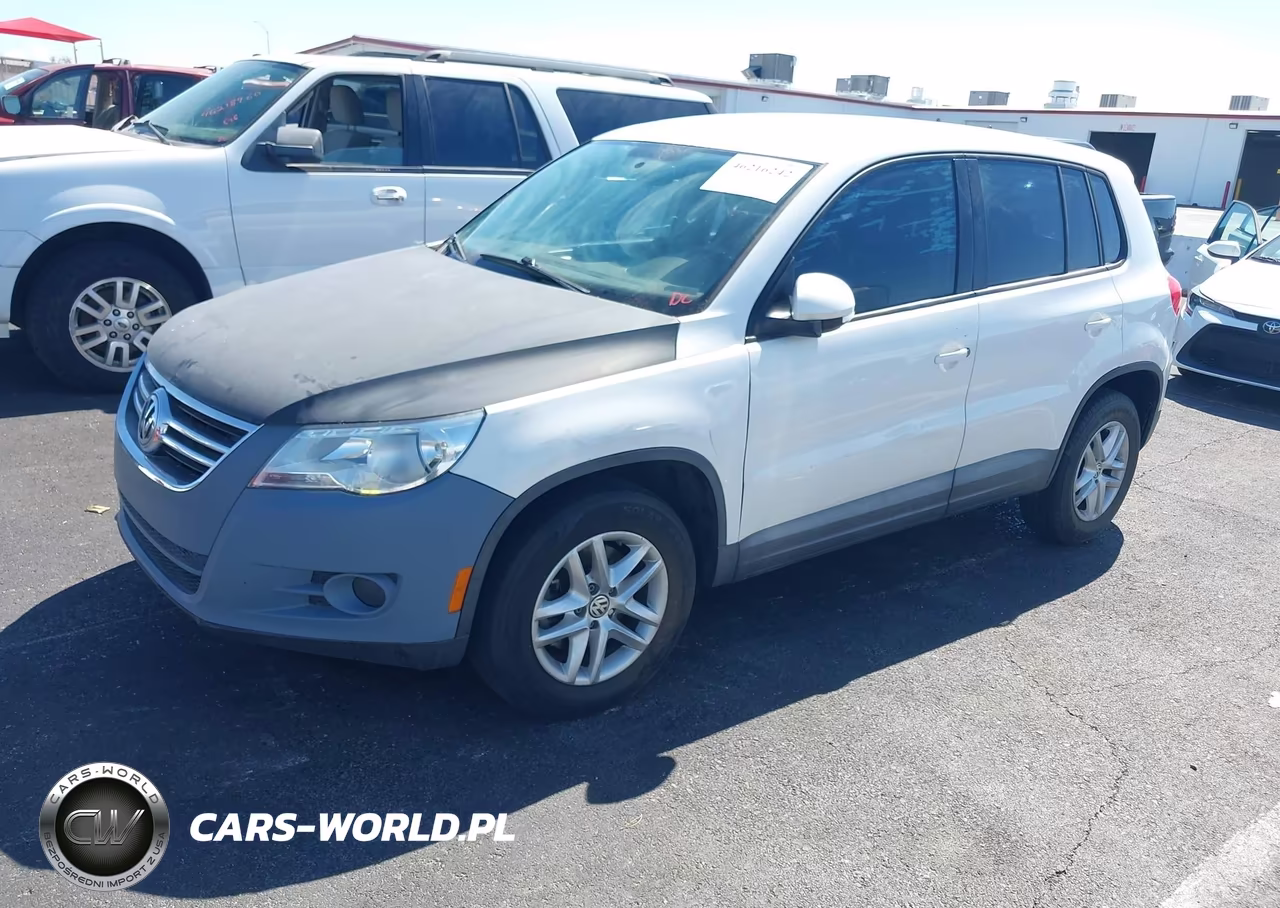 2011 Volkswagen Tiguan S VIN:WVGAV7AX6BW524629 - 2