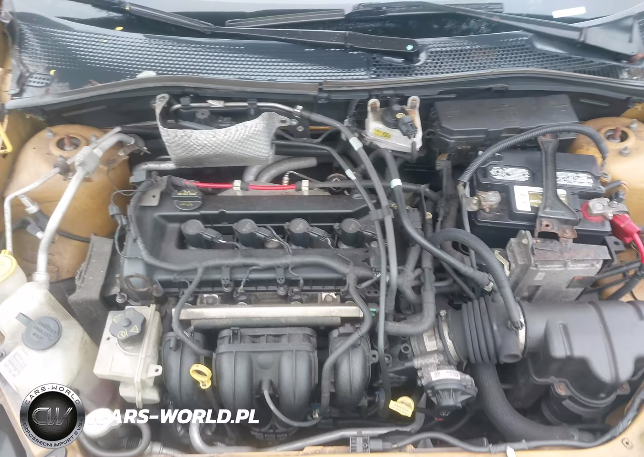 2009 Ford Focus VIN:1FAHP35N09W231131 - 10