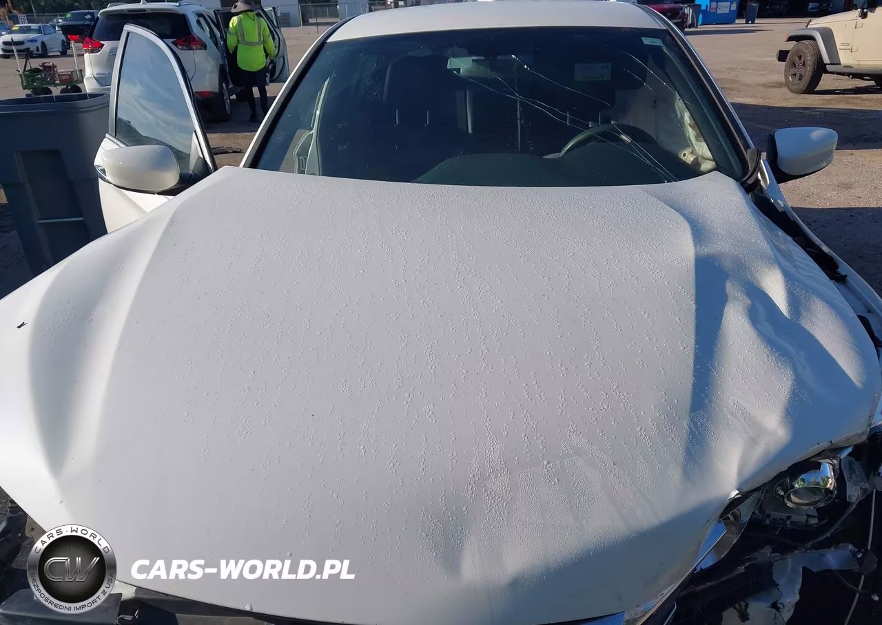 2017 Honda Accord Sport VIN:1HGCR2F5XHA051871 - 10