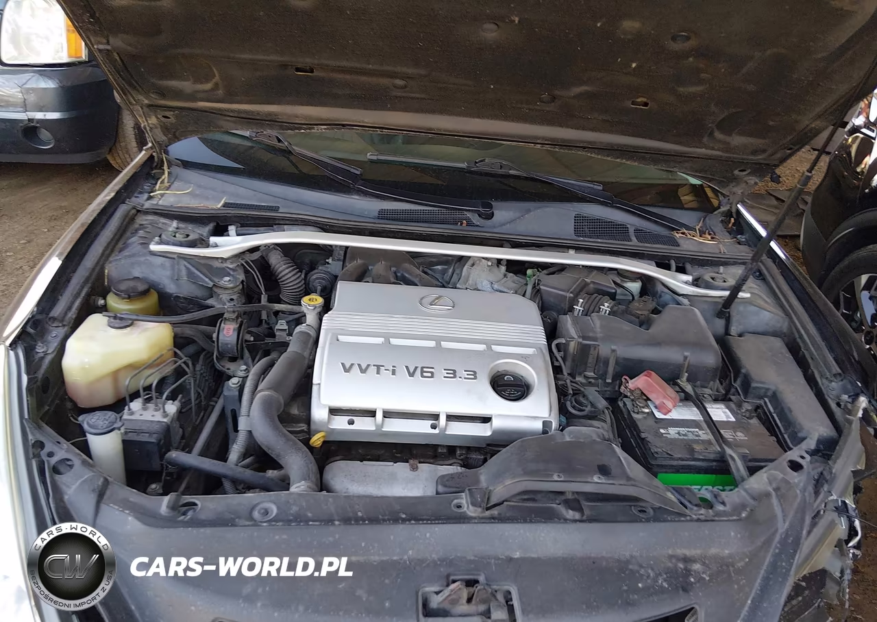 2004 Lexus Es 330 VIN:JTHBA30GX40011189 - 10