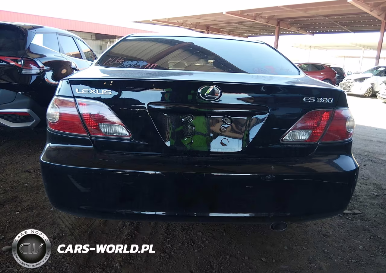 2004 Lexus Es 330 VIN:JTHBA30GX40011189 - 16