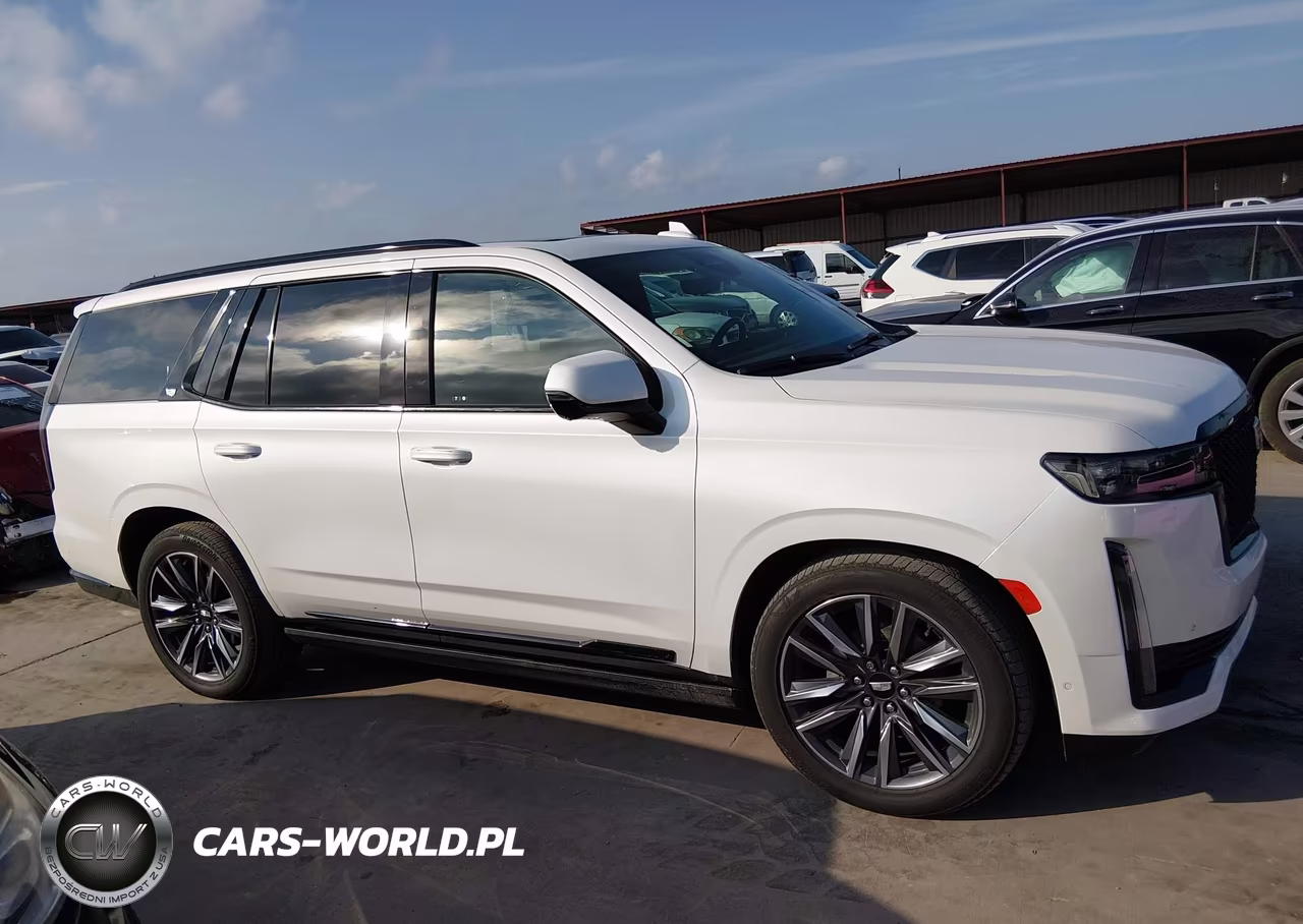 2023 Cadillac Escalade 2Wd Sport Platinum VIN:1GYS3GKL3PR121637 - 13