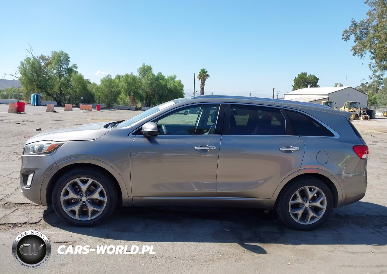2016 Kia Sorento 3.3L Sx VIN:5XYPK4A59GG116828 - 14