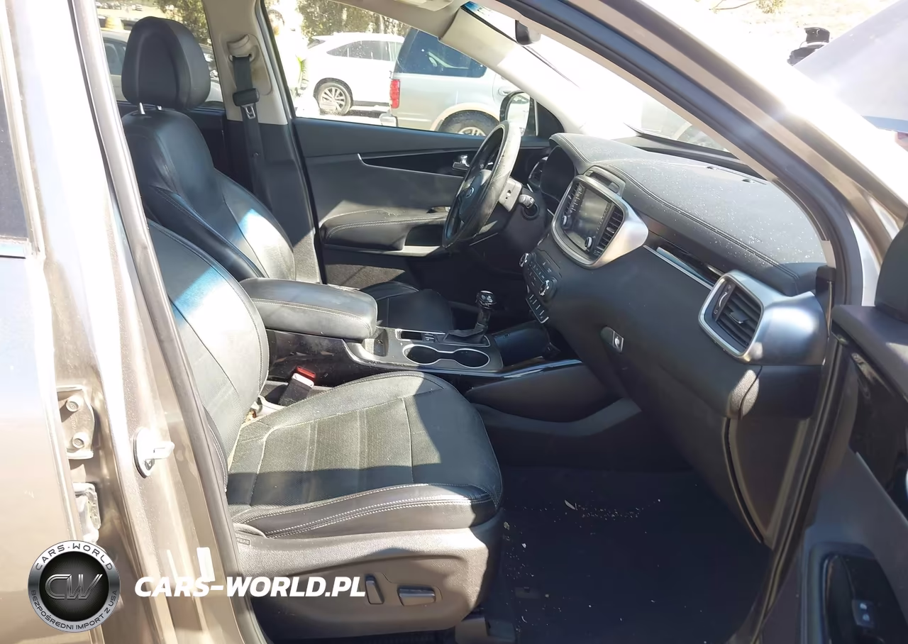 2016 Kia Sorento 3.3L Sx VIN:5XYPK4A59GG116828 - 5
