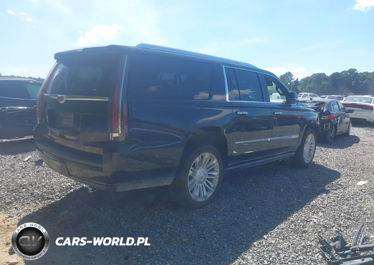 2016 Cadillac Escalade Esv Platinum VIN:1GYS4KKJ9GR298532 - 4