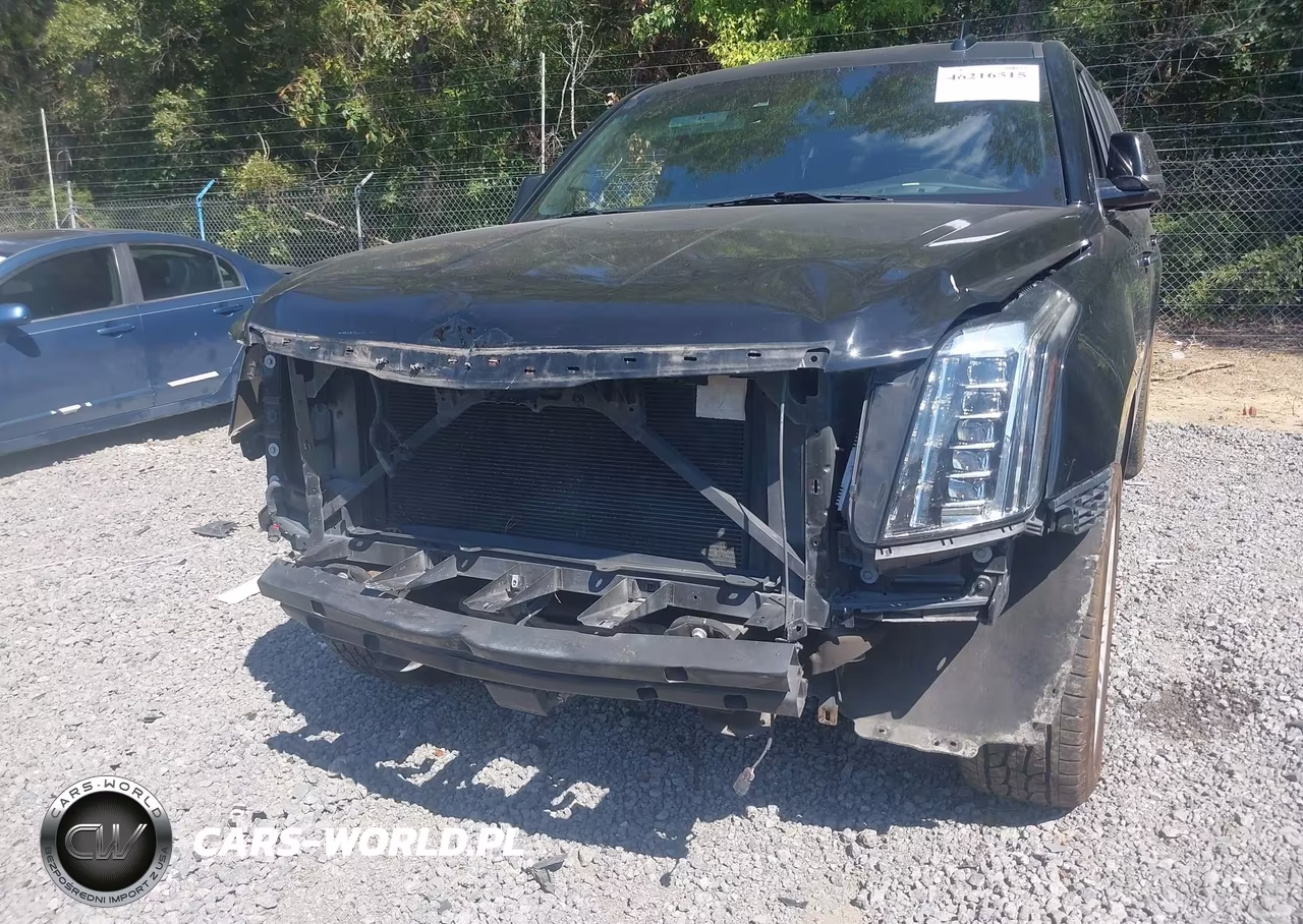 2016 Cadillac Escalade Esv Platinum VIN:1GYS4KKJ9GR298532 - 6