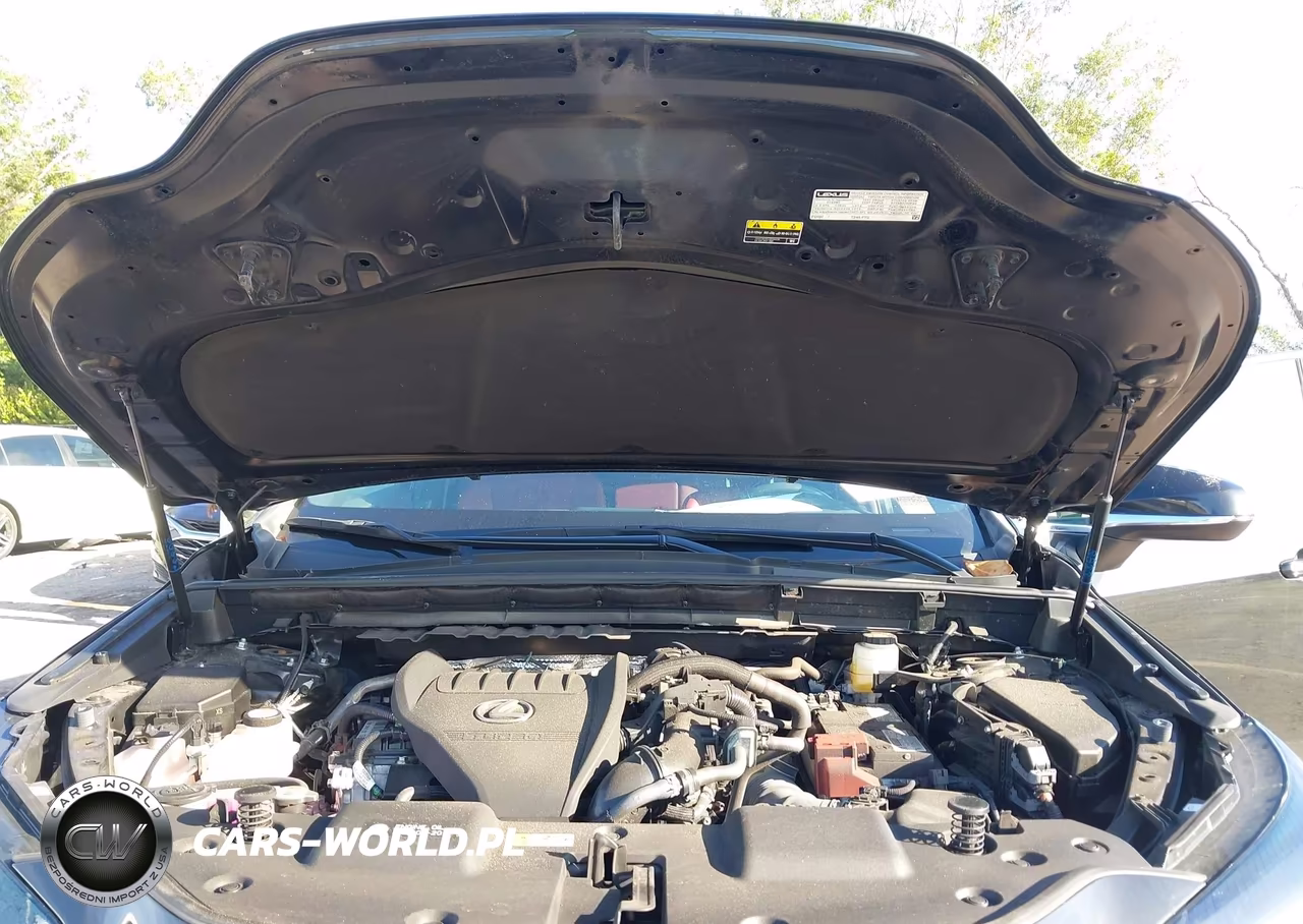 2023 Lexus Nx 350 Premium VIN:2T2GGCEZ3PC022413 - 10