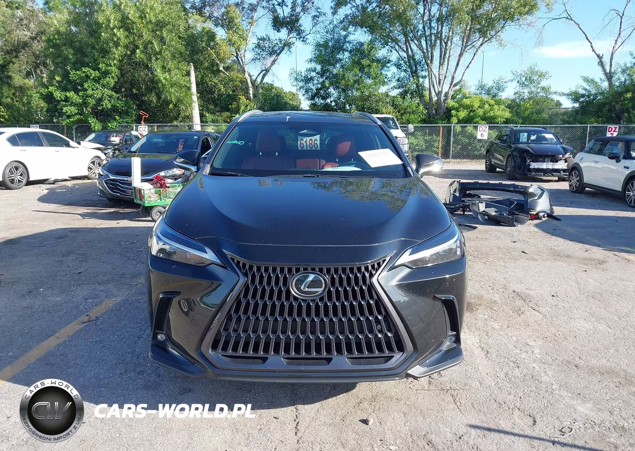 2023 Lexus Nx 350 Premium VIN:2T2GGCEZ3PC022413 - 13