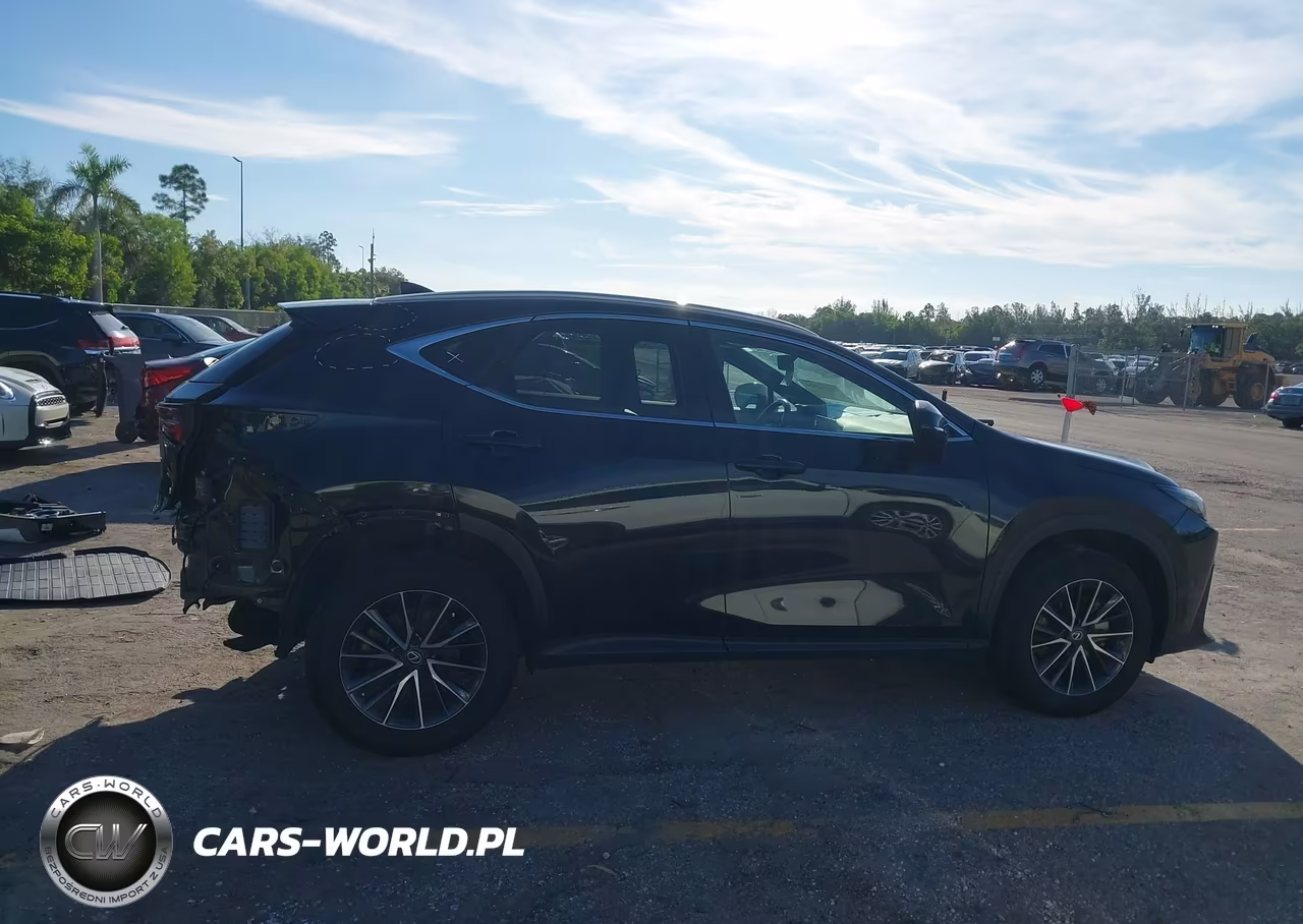 2023 Lexus Nx 350 Premium VIN:2T2GGCEZ3PC022413 - 14