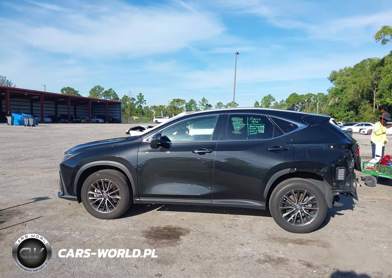 2023 Lexus Nx 350 Premium VIN:2T2GGCEZ3PC022413 - 15