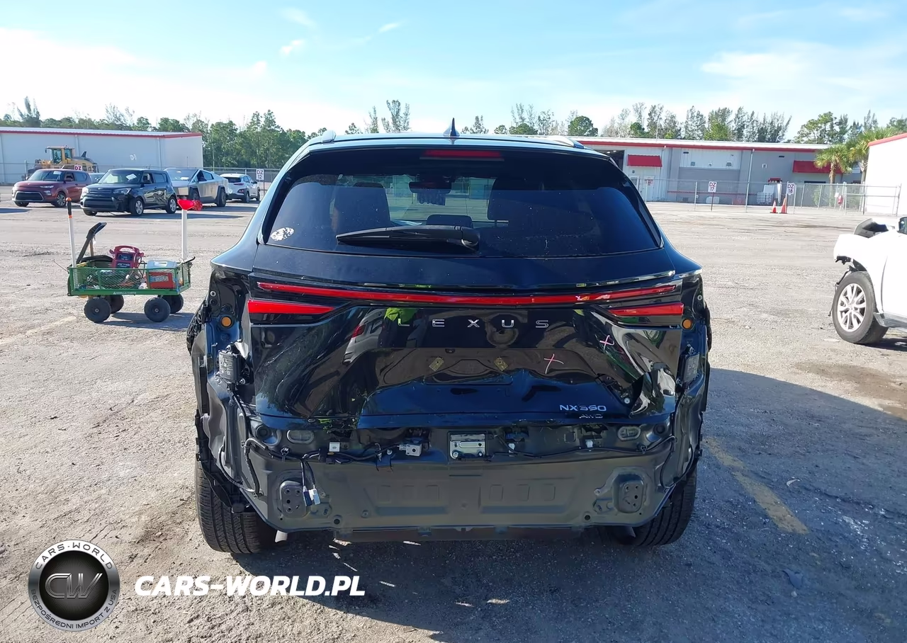 2023 Lexus Nx 350 Premium VIN:2T2GGCEZ3PC022413 - 17