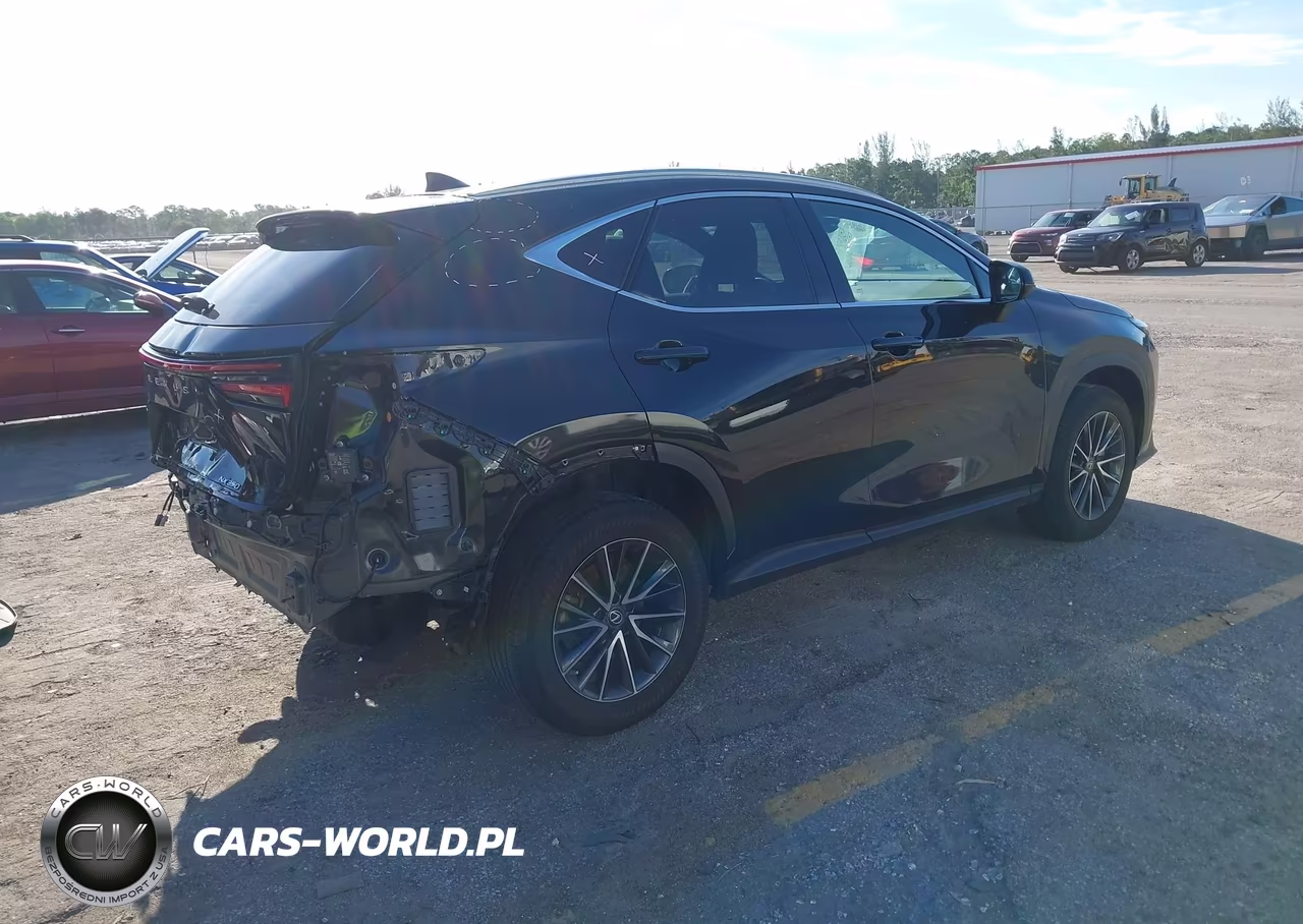 2023 Lexus Nx 350 Premium VIN:2T2GGCEZ3PC022413 - 4