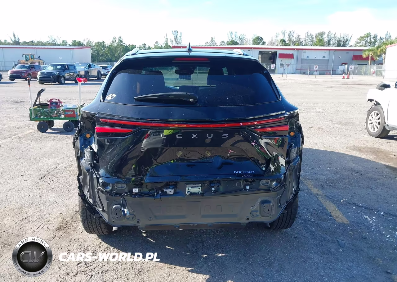 2023 Lexus Nx 350 Premium VIN:2T2GGCEZ3PC022413 - 6