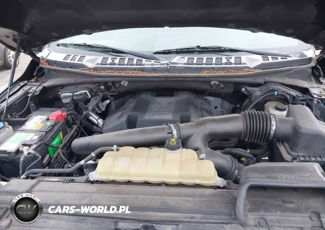 2019 Ford F-150 Xlt VIN:1FTFW1E42KKF19763 - 10
