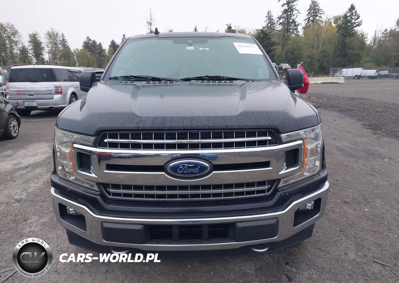 2019 Ford F-150 Xlt VIN:1FTFW1E42KKF19763 - 12