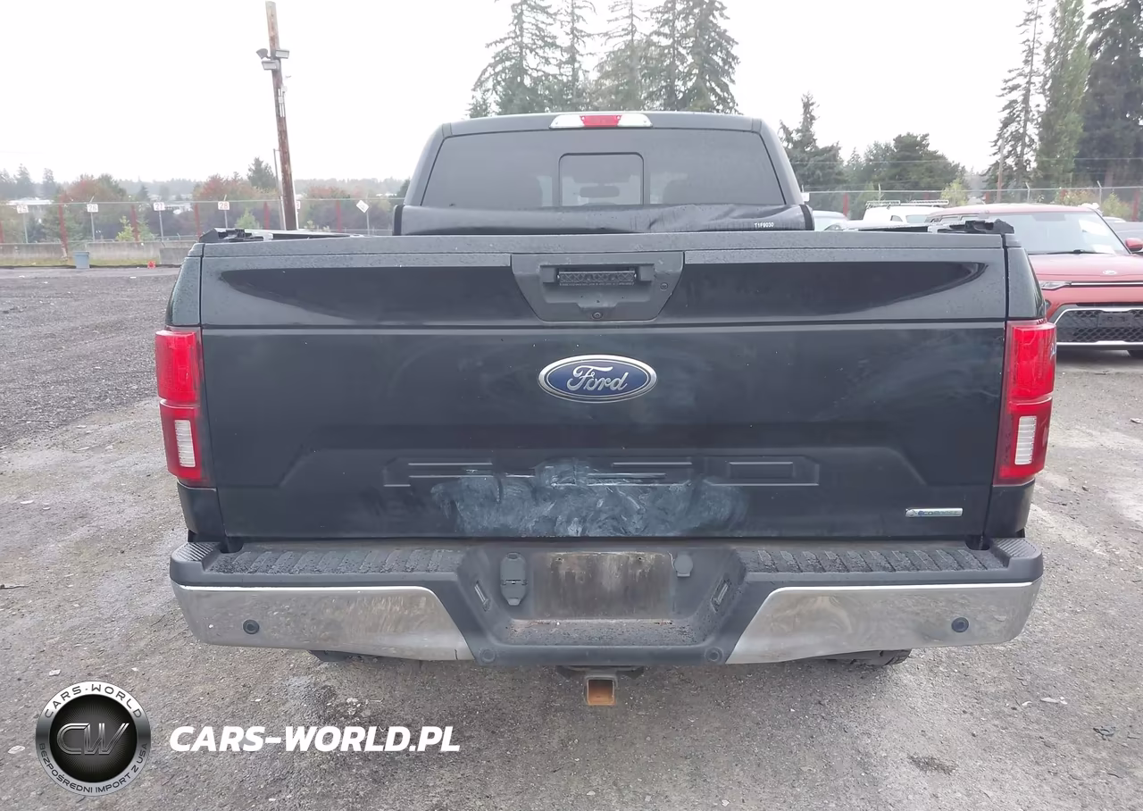 2019 Ford F-150 Xlt VIN:1FTFW1E42KKF19763 - 16