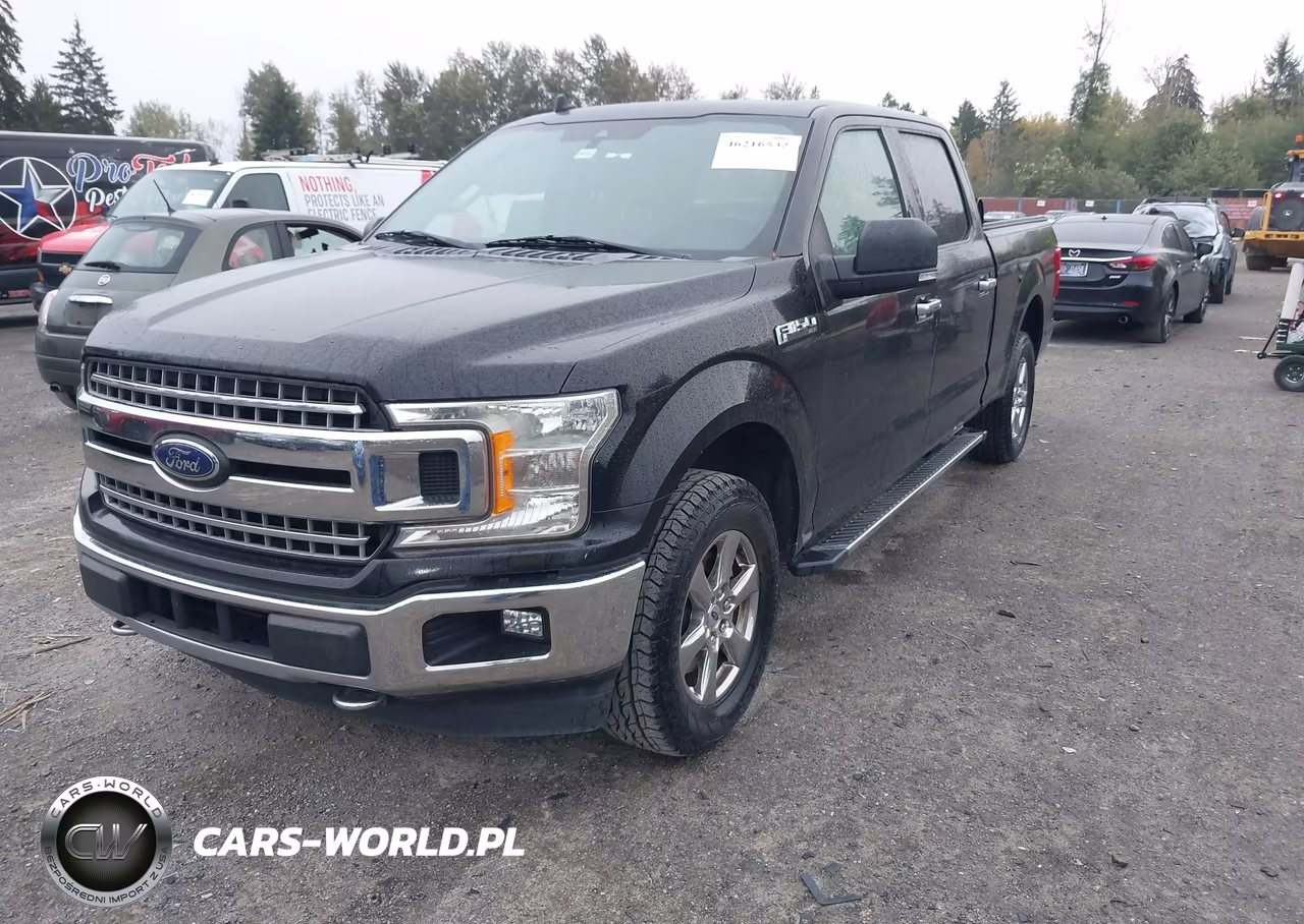 2019 Ford F-150 Xlt VIN:1FTFW1E42KKF19763 - 2