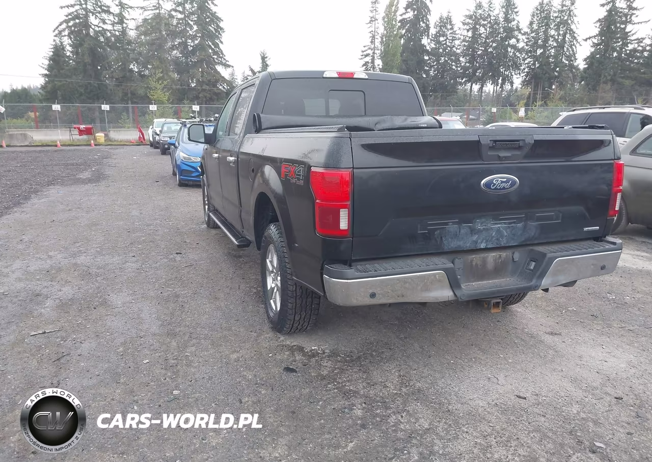 2019 Ford F-150 Xlt VIN:1FTFW1E42KKF19763 - 3