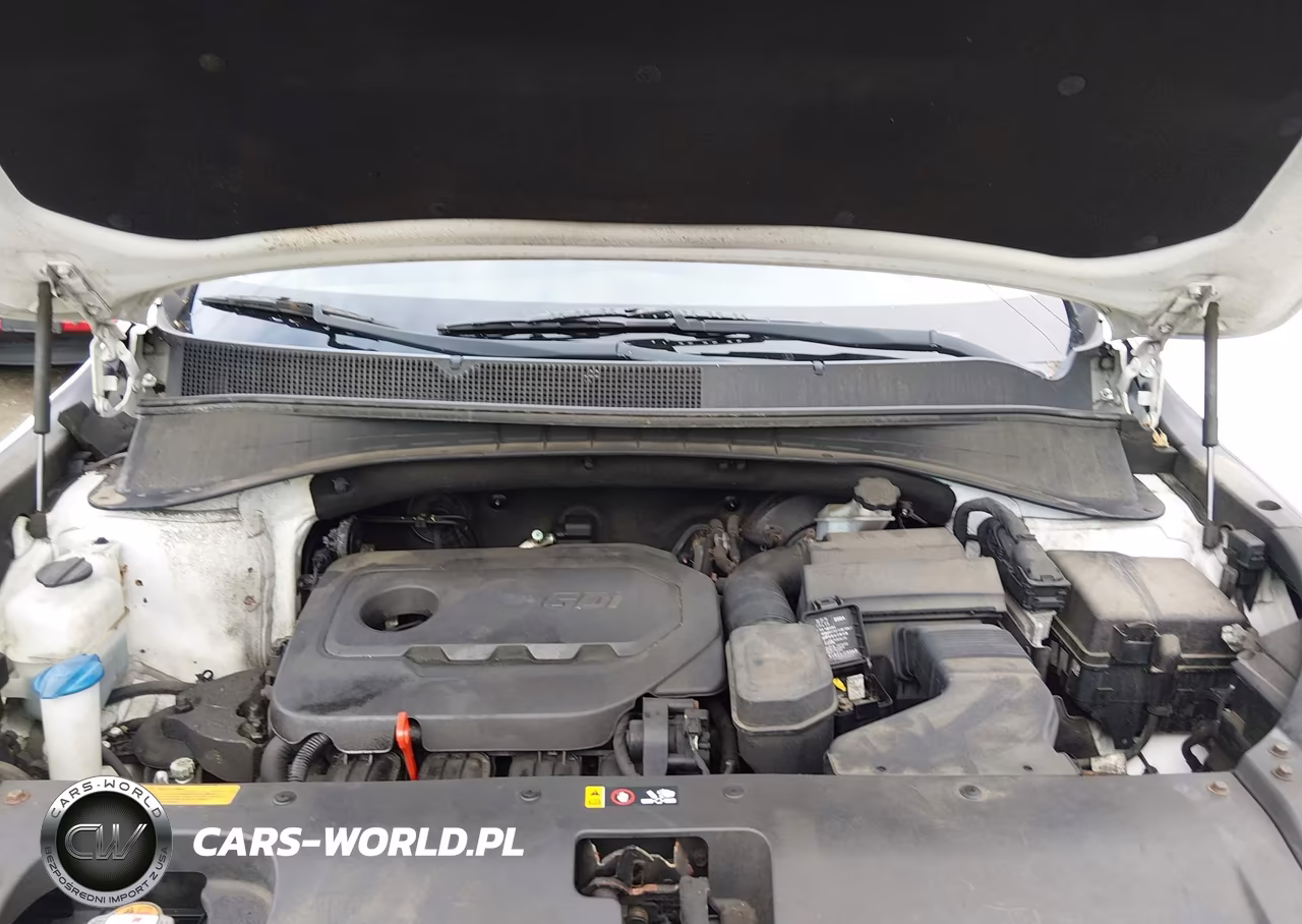 2016 Kia Sorento 2.4L Lx VIN:5XYPGDA37GG020132 - 10