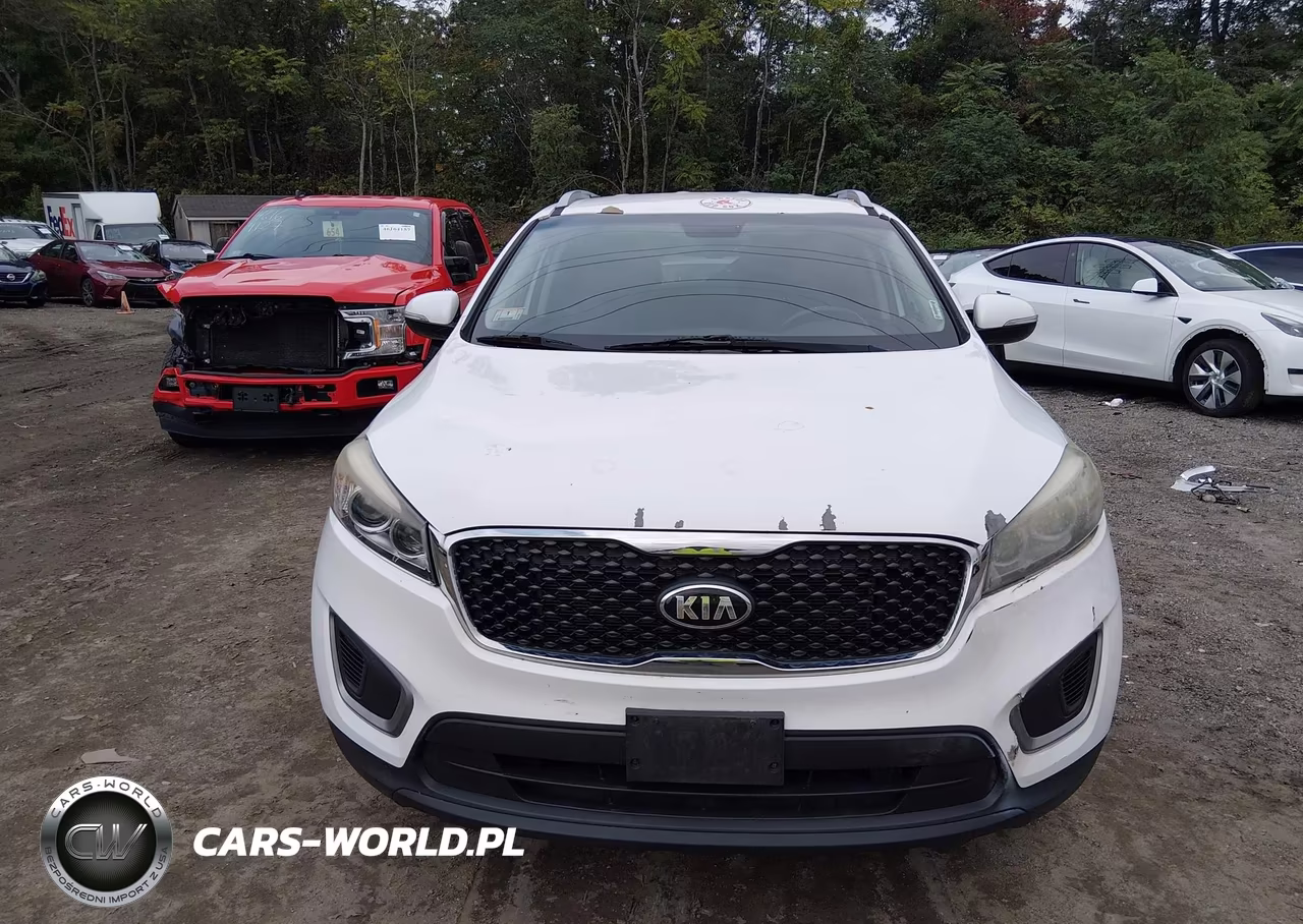 2016 Kia Sorento 2.4L Lx VIN:5XYPGDA37GG020132 - 12