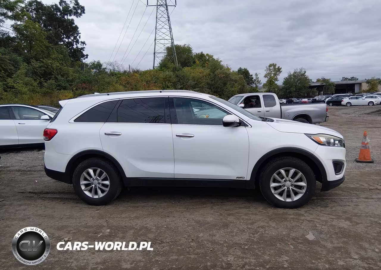 2016 Kia Sorento 2.4L Lx VIN:5XYPGDA37GG020132 - 13