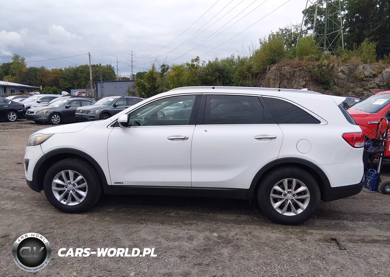 2016 Kia Sorento 2.4L Lx VIN:5XYPGDA37GG020132 - 14