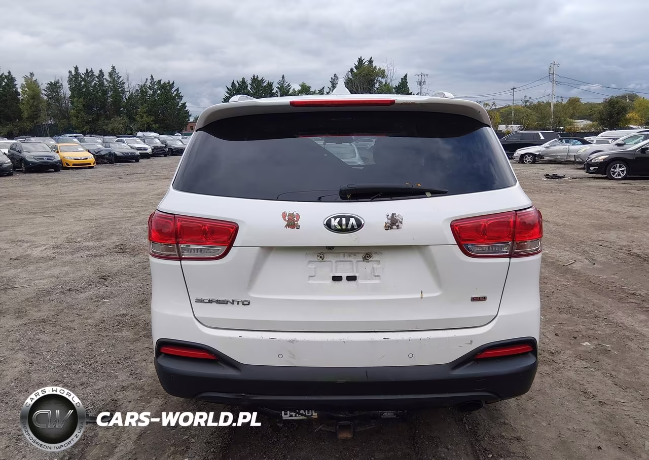 2016 Kia Sorento 2.4L Lx VIN:5XYPGDA37GG020132 - 16