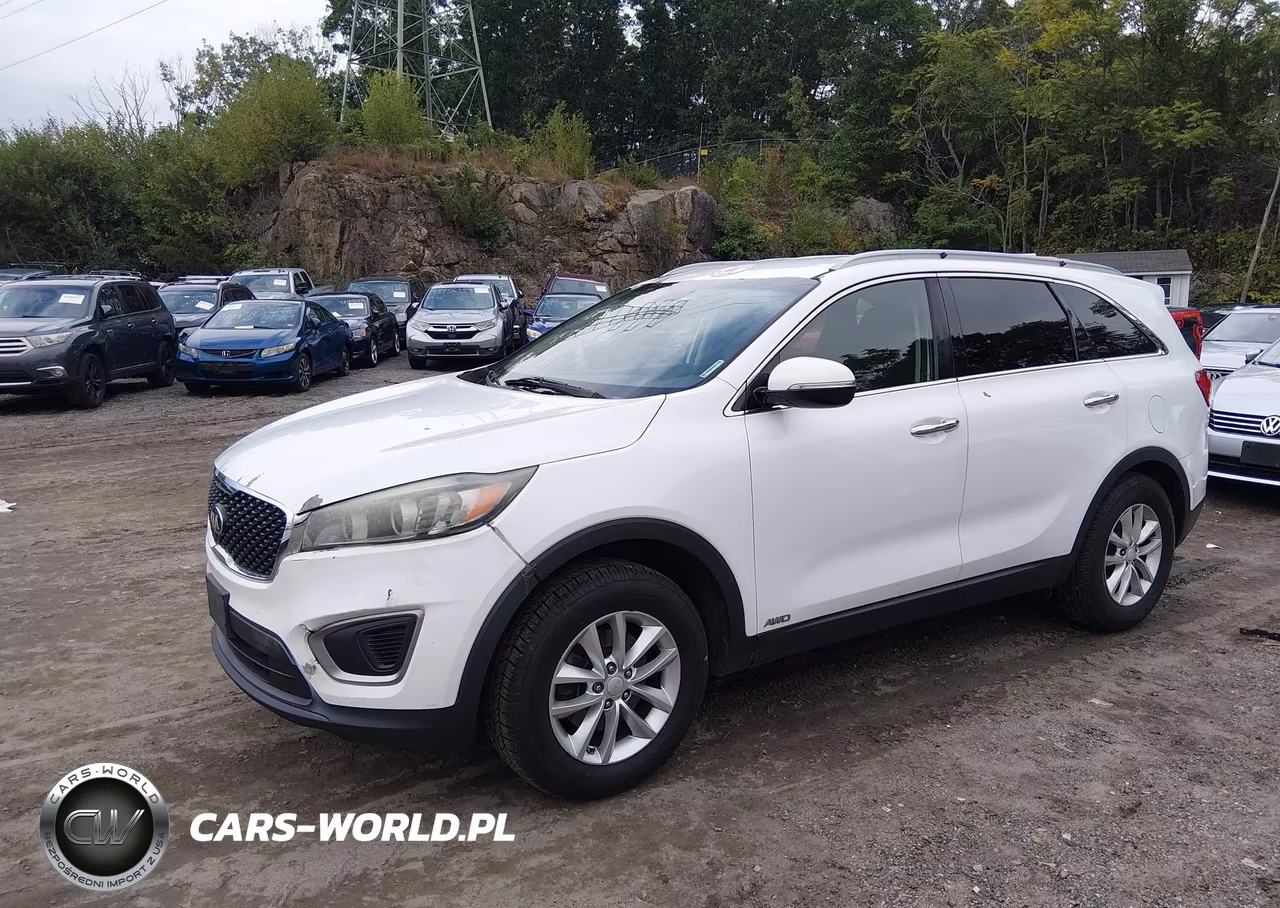 2016 Kia Sorento 2.4L Lx VIN:5XYPGDA37GG020132 - 2