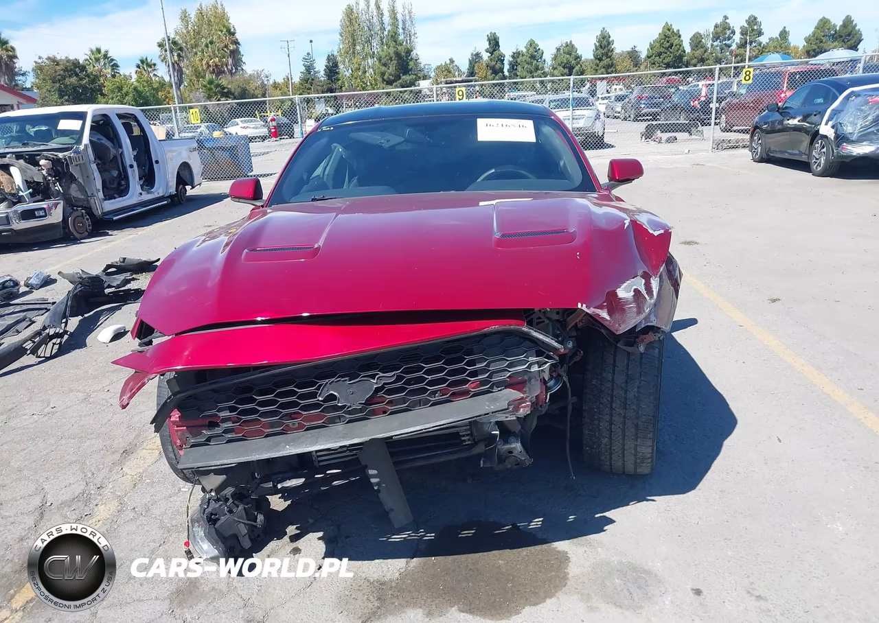 2019 Ford Mustang Ecoboost VIN:1FA6P8TH9K5143773 - 13