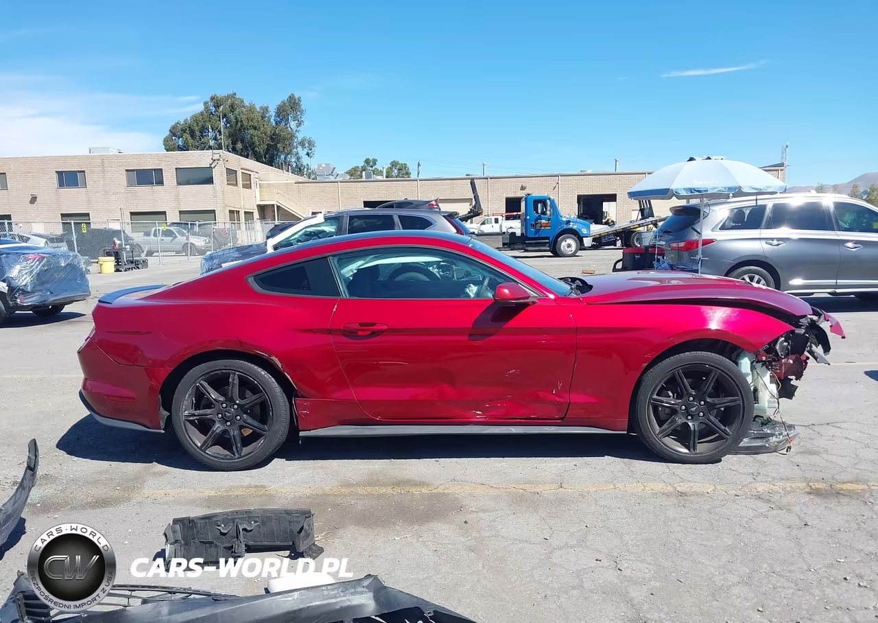 2019 Ford Mustang Ecoboost VIN:1FA6P8TH9K5143773 - 14