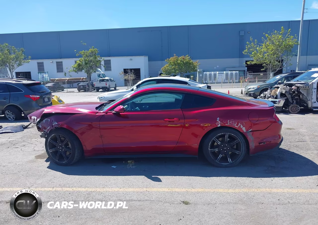 2019 Ford Mustang Ecoboost VIN:1FA6P8TH9K5143773 - 15