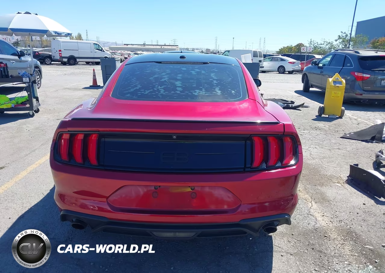 2019 Ford Mustang Ecoboost VIN:1FA6P8TH9K5143773 - 17