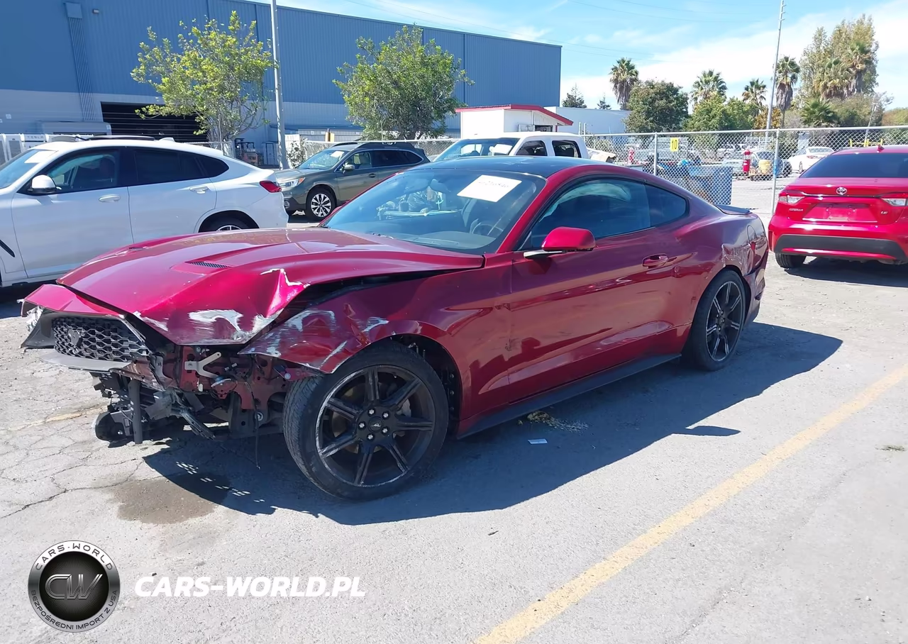 2019 Ford Mustang Ecoboost VIN:1FA6P8TH9K5143773 - 2