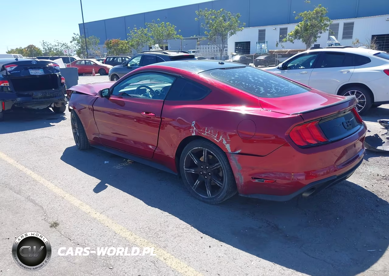 2019 Ford Mustang Ecoboost VIN:1FA6P8TH9K5143773 - 3