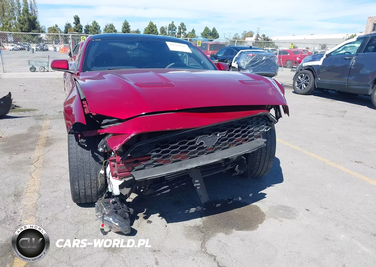 2019 Ford Mustang Ecoboost VIN:1FA6P8TH9K5143773 - 6