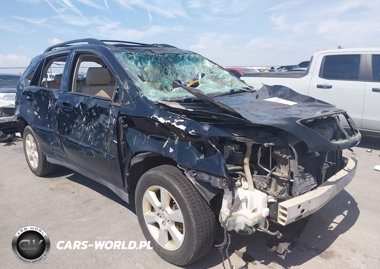 2004 Lexus Rx 330 VIN:JTJHA31U640041819 - 14