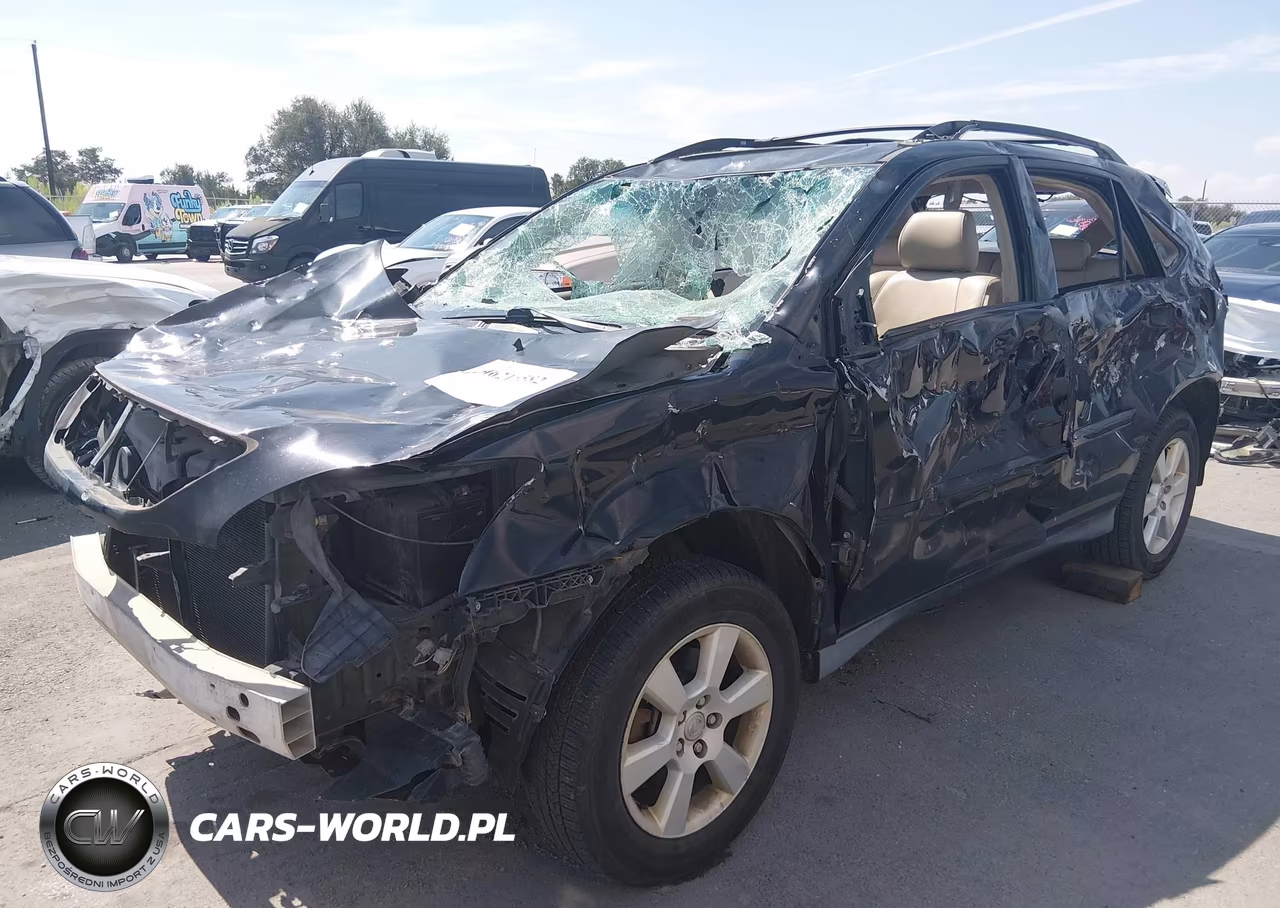 2004 Lexus Rx 330 VIN:JTJHA31U640041819 - 6