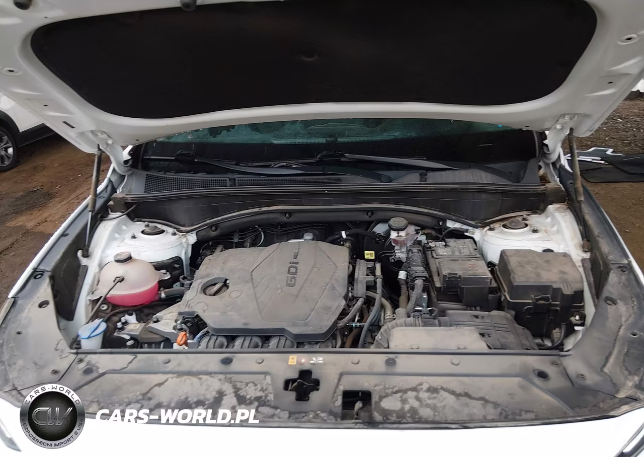 2022 Hyundai Santa Fe Sel VIN:5NMS3DAJ0NH401604 - 10