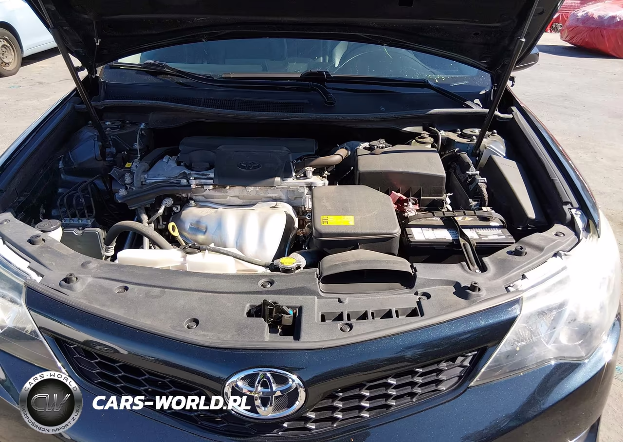 2014 Toyota Camry Se VIN:4T1BF1FK4EU773913 - 10