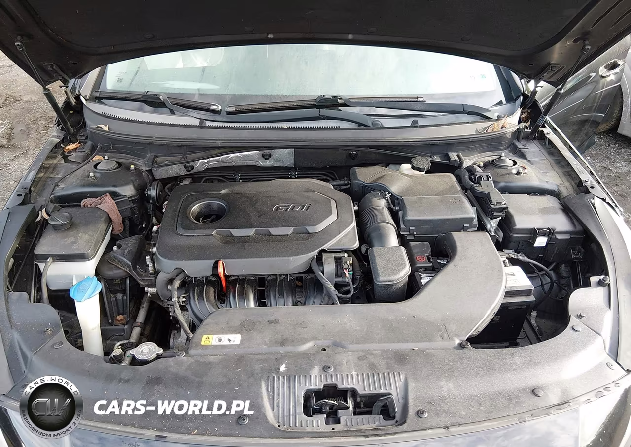 2015 Hyundai Sonata Se VIN:5NPE24AF4FH142647 - 10
